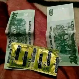Sena fox se parar