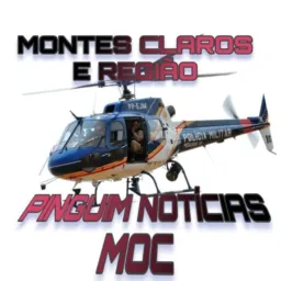 05.PINGUIM NOTICIAS MOC🚨