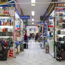 Paranoá divulgação