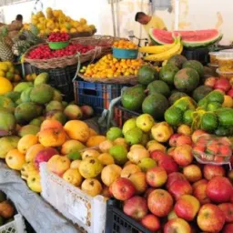 COMPRA E VENDA COLINAS TO.