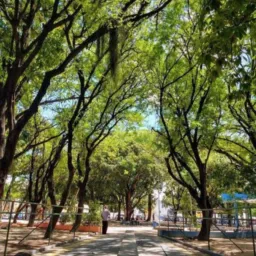 🔥Negócios e vendas (09) Jardim São Paulo , Várzea  e Caxangá