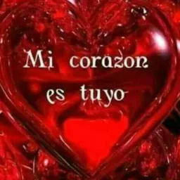 Amizade 💞 ou namoro 💘🌹 mi corazón estúyo
