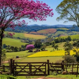Vendas e catiras agropecuária