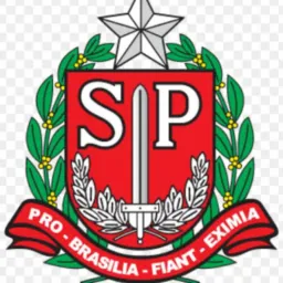 São Paulo SP Business