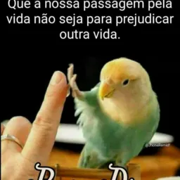 Vendas e vendas