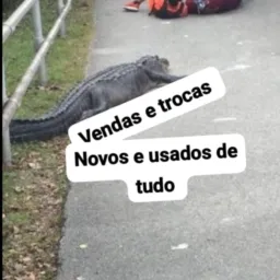Vendas e trocas jacaré 🐊🚨