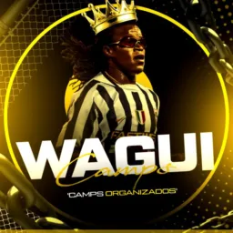 WAGUI 𝗖𝗔𝗠𝗣𝗦 𝗘 𝗔𝗣𝗢𝗦𝗧𝗔𝗗𝗢𝗦