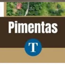 Região Pimentas 🌶️