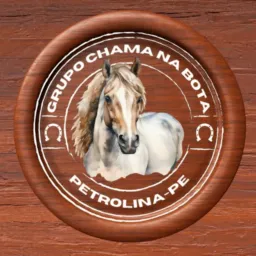 👢🐴 Grupo Chama Na Bota 🐴👢