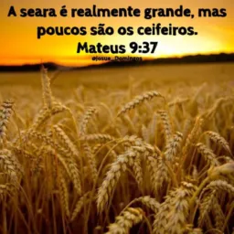 A SEARA DE DEUS