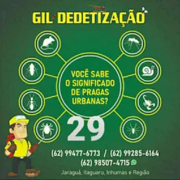 Marketplace Inhumas  29