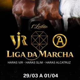 TODAS NOVIDADES LEILÃO LIGA DA MARCHA SLIM/VJR/ALCATRUZ