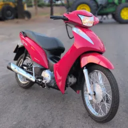 ✅ Gambiras Guarai ✅