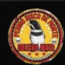 BORA PRO ROLO ✅