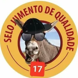 Alegria vídeos engraçados
