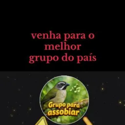 Grupo do assobio 🐦‍⬛🐦‍⬛