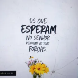 GRUPO DE VERSÍCULOS BÍBLICOS