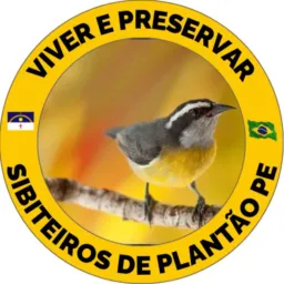 Sibiteiros de plantão PE