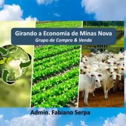 Girando a Economia de Minas Nova - Buritis  somente Compras e Vendas