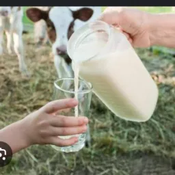 LEITE PURO🥛