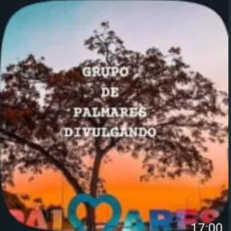 GRUPO PALMARES DIVULGADO