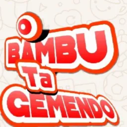 Aldenir Fretes Mudança Cel 67 996515119 SGO. É Região MS. 🤝🚛💨