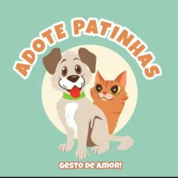 Adote Uma Patinha Itaberai Goiás 🐾🐾🐾🐶🐈⬛