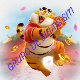 GRUPO DE SINAIS SM