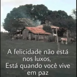 amizade verdadera 🇧🇷⚔️🇦🇷