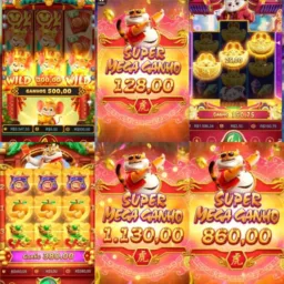 #06 Cooperação Grupo Renda Extra ! Slot!
