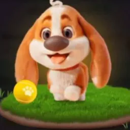 🐶Grupo de Patinhas da Shein🐶 e roleta