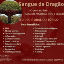 NATUROPATIA DE DEUS : CURA VOCÊ 🫵