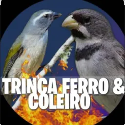 Passarinheiros de santa Catarina