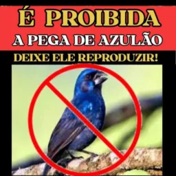🌱Criador De João Câmara RN é Região🇧🇷