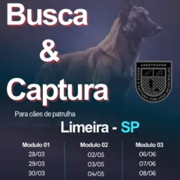 Busca & Captura - Limeira