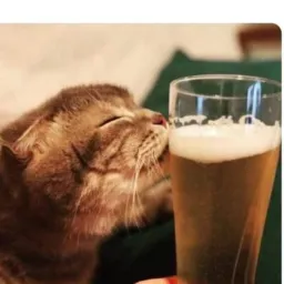 Amizades Coisa e Tals 🍺🤤🍻