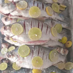 Peixaria e produtos da roça e vendas...