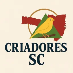 Criadores de pássaros itajai região 🦜
