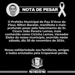 💡📈📈PAU D'ARCO DO PI 2024