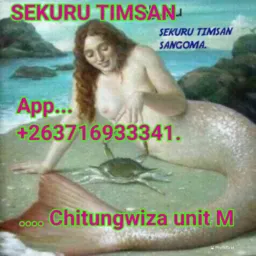 CHIVANHU NEMASVIKIRO  naSekuru TIMSAN