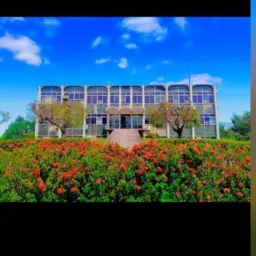 Mãe do Rio Notícias