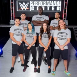 🕋{WWE} Recepcion