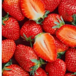 Moranguinho do amor🍓🍓🍓🍓🍓🍓🍓🍓🍓