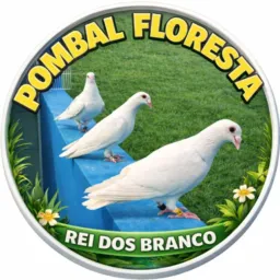 POMBAL FLORESTA O REI DOS BRANCOS🕊️