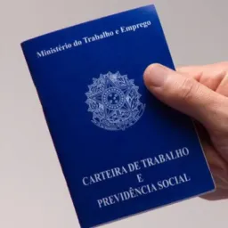 EMPREGO EM FOCO PLS