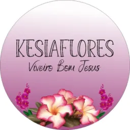 💐🌷🪻KESIAFLORES/VIVEIRO BOM JESUS🪷💐🌻🌺🪷🪻🌸