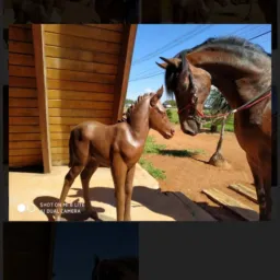 GRUPO DA GAMBIRA 🐎🐎