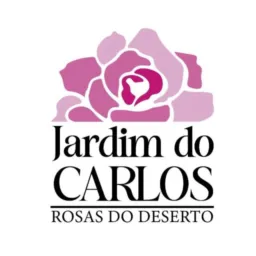 ☀️Jardim do Carlos☀️ - Rosa do deserto