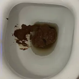 VENDAS DE BOSTA