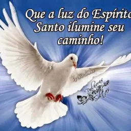 BEM VINDO ESPÍRITO SANTO DE DEUS